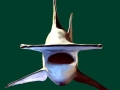 Great Hammerhead Shark