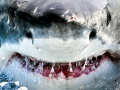 Great White Shark