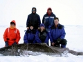 Greenland Shark
