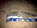 Shovelnose Guitar Ray