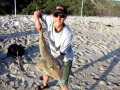 Shovelnose Guitar Ray