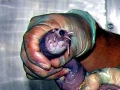 Hagfish