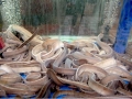 Hagfish