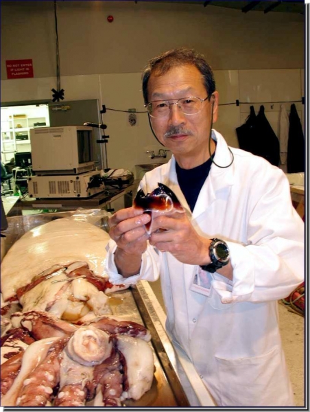 Dr. Tsunemi Kubodera