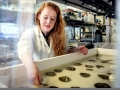 Dr Anaëlle J. Lemasson
