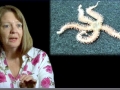 Dr. Carol A. Turley