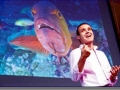 Dr. Enric E. Sala