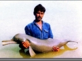 Dr. Lal Mohan