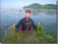 Dr. Matthew C. Whalen