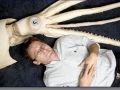 Dr. Steven L. O'Shea
