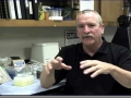 Dr. Thane J. Wibbels
