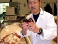 Dr. Tsunemi Kubodera