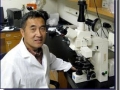 Dr. Wang Ding