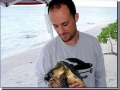 Dr. Kyle S. Van Houtan