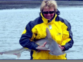 Dr. Maryellen N. Timmons