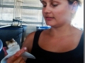 Dr. Rachel D. Robbins