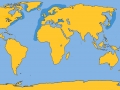 Harbor Porpoise