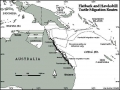 Hawksbill Sea Turtle