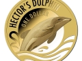 Hector's Dolphin