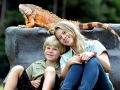 Steve Irwin, his Legacy