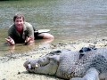 Steve Irwin, his Legacy
