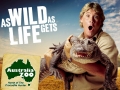 Steve Irwin, his Legacy