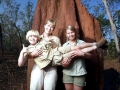 Steve Irwin, his Legacy