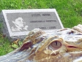 Steve Irwin, his Legacy