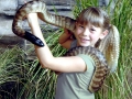 Steve Irwin, his Legacy