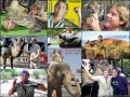 Steve Irwin, his Legacy