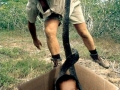 Steve Irwin, his Legacy