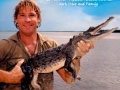 Steve Irwin, his Legacy