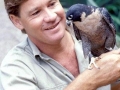 Steve Irwin, his Legacy