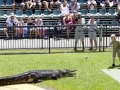 Steve Irwin, his Legacy