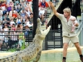 Steve Irwin, his Legacy