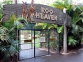 Steve Irwin, his Legacy