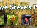 Steve Irwin, his Legacy