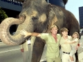 Steve Irwin, his Legacy