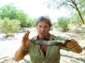 Steve Irwin, his Legacy