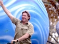 Steve Irwin, his Legacy