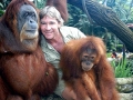 Steve Irwin, his Legacy