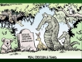 Steve Irwin, his Legacy