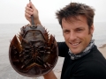 Horseshoe Crab