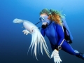 Humboldt Squid