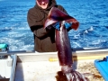 Humboldt Squid