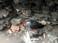 Inca Tern