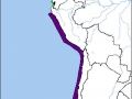 Inca Tern
