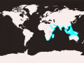 Indo-Pacific Humpback Dolphin