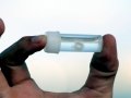 Irukandji Sea Jelly