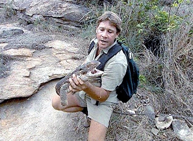 Crocodile Hunter Steve Irwin